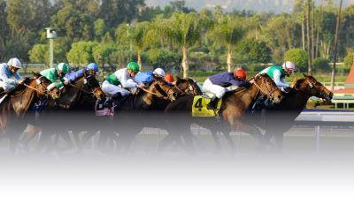 Christina Lombardi x Breeders' Cup 2016