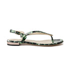 Sofia Sofia Christina Lombardi 36 Green Leaf